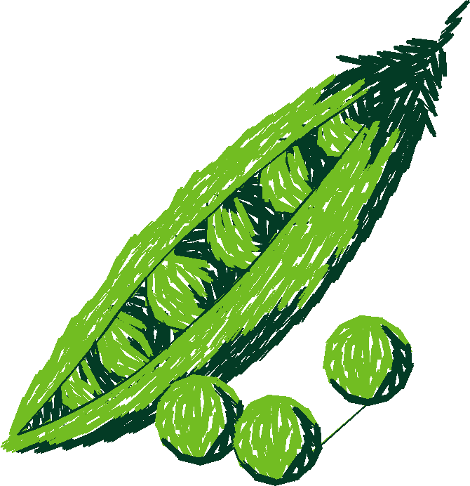 Fruit & Vegetables 16  (53)