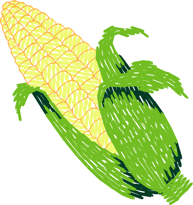 Fruit & Vegetables 16  (60)