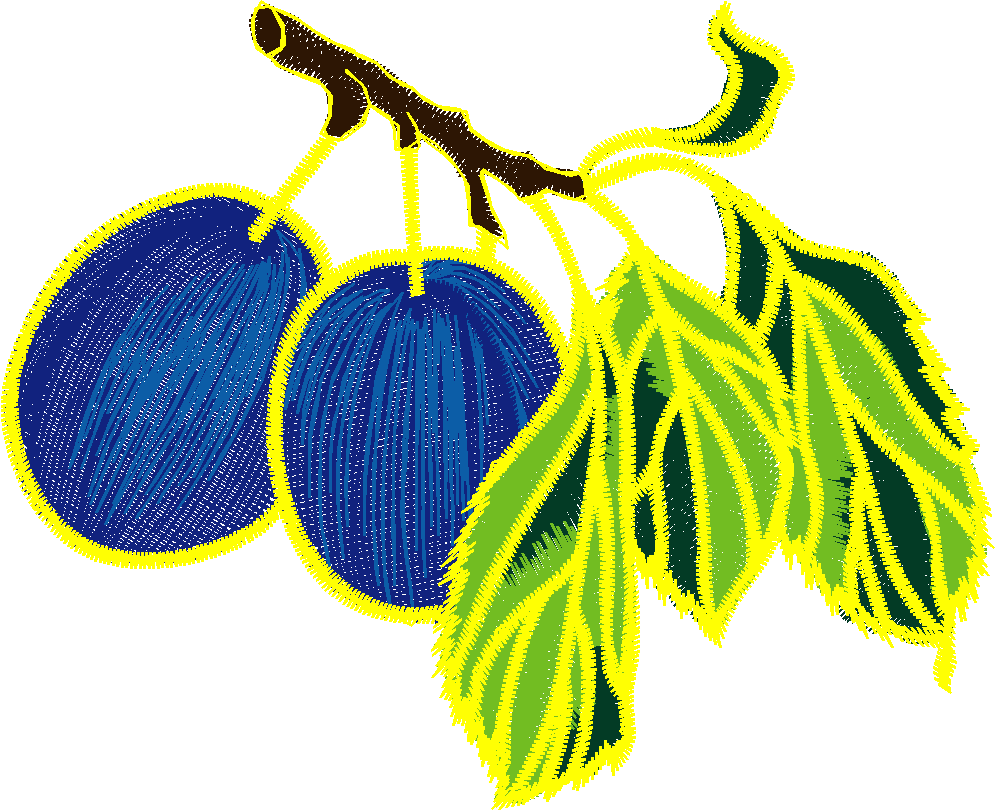 Fruit & Vegetables 16  (67)