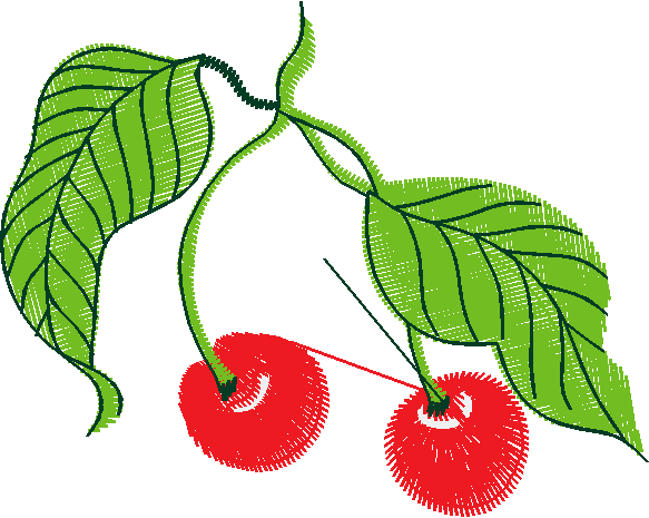 Fruit & Vegetables 16  (81)