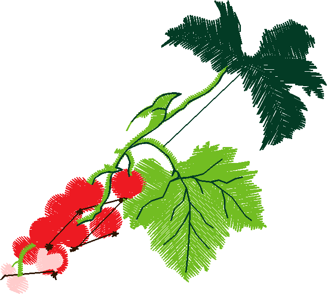 Fruit & Vegetables 16  (85)