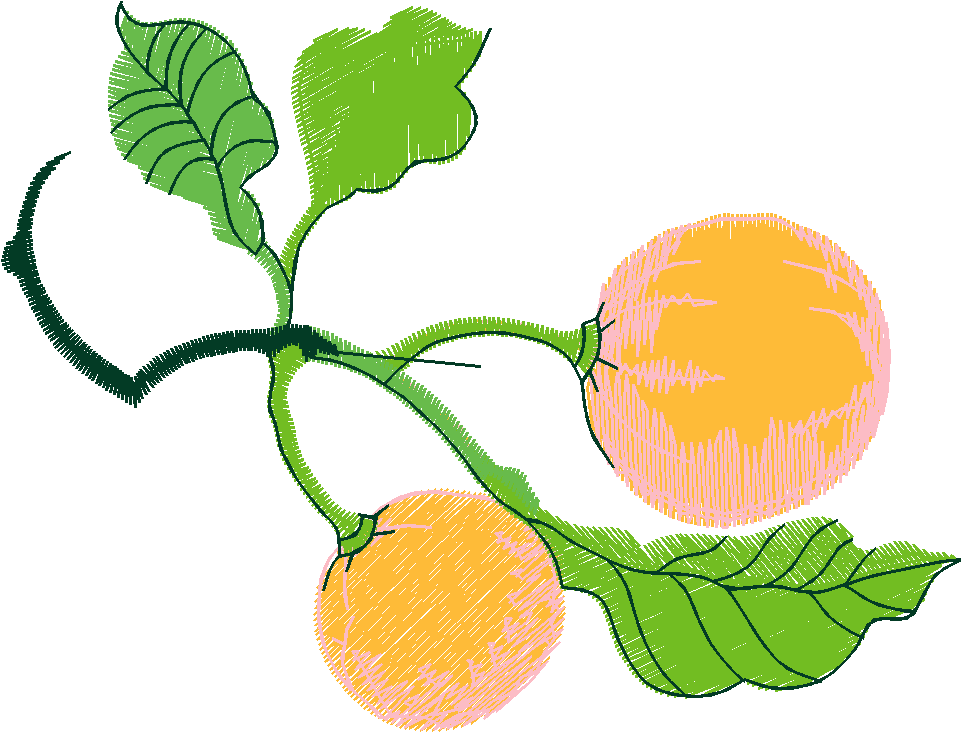 Fruit & Vegetables 16  (88)
