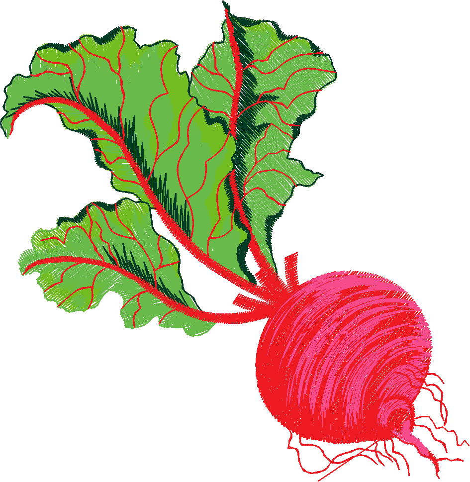 Fruit & Vegetables 16  (91)