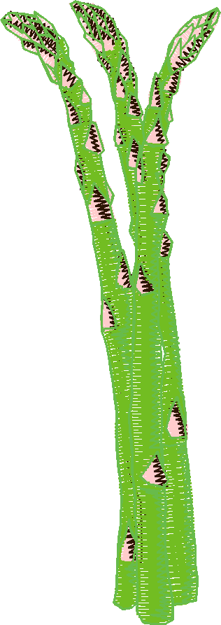 Fruit & Vegetables 17  (15)