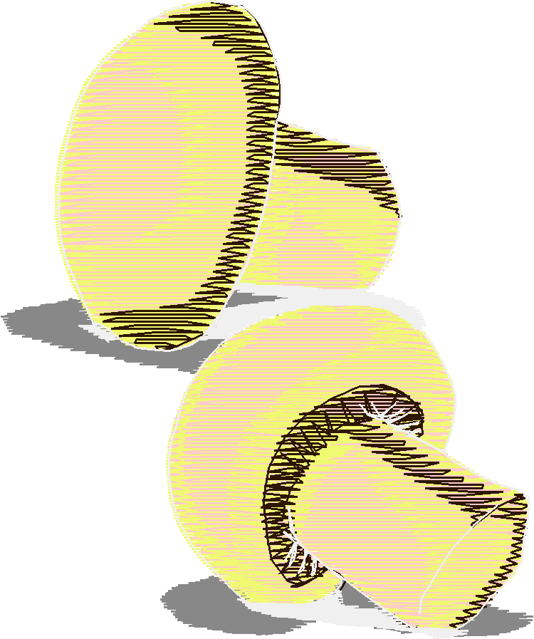 Fruit & Vegetables 17  (19)