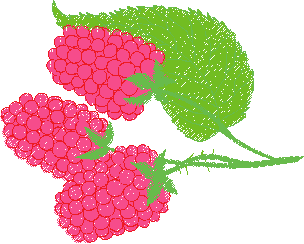 Fruit & Vegetables 17  (29)