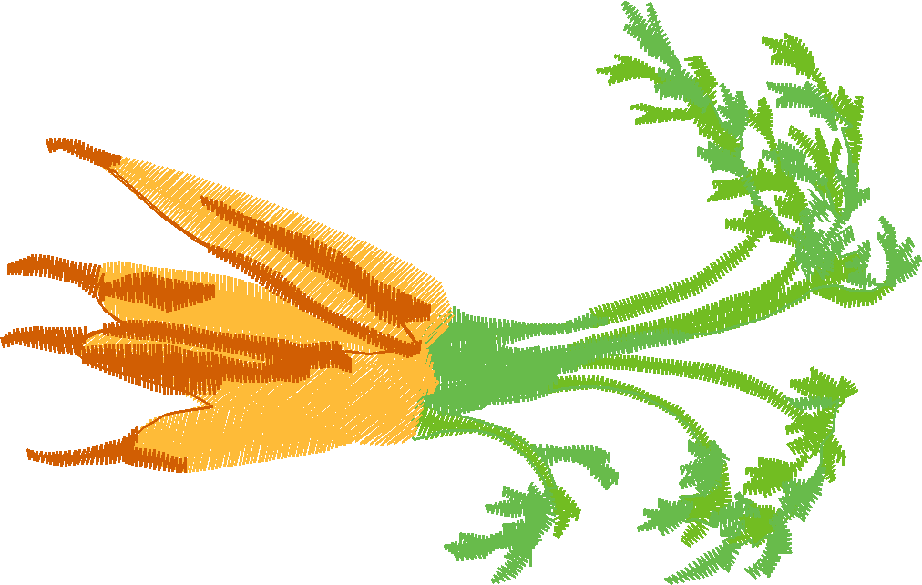 Fruit & Vegetables 17  (32)