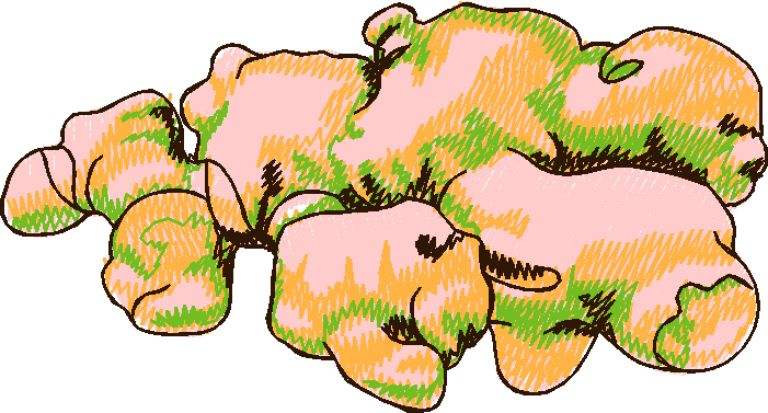 Fruit & Vegetables 17  (98)