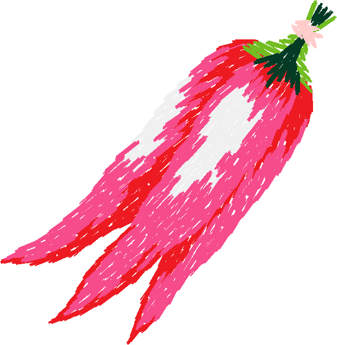 Fruit & Vegetables 2  (26)