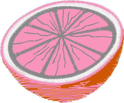 Fruit & Vegetables 20 (13)