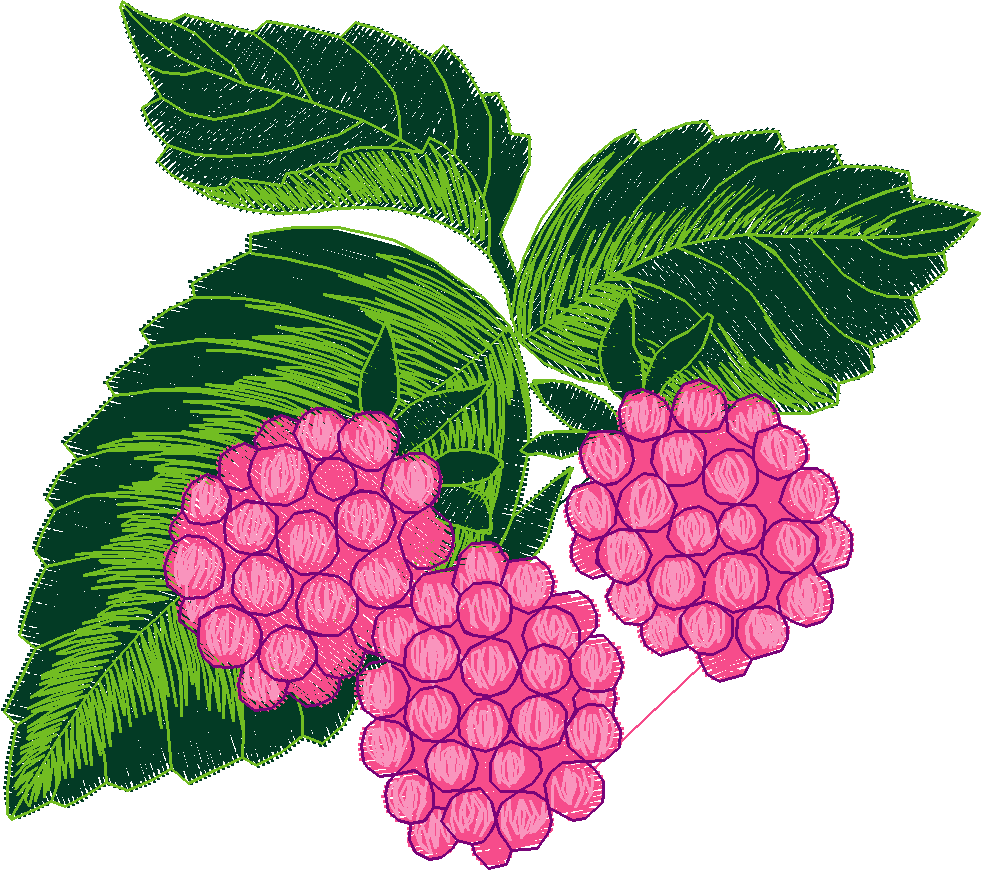 Fruit & Vegetables 4  (1)