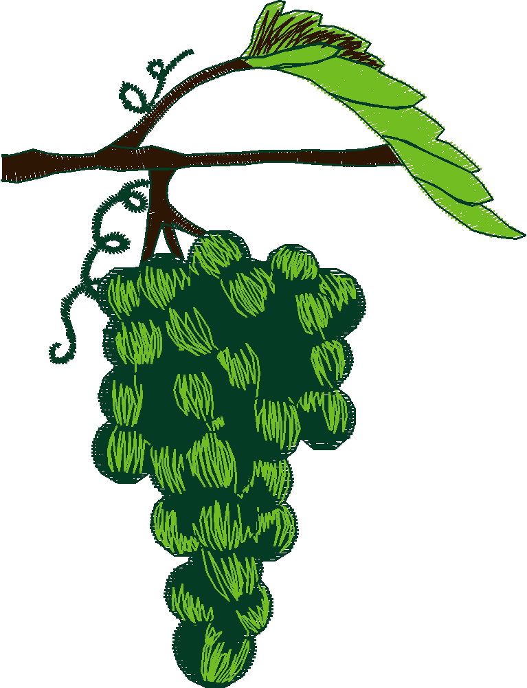 Fruit & Vegetables 5  (12)