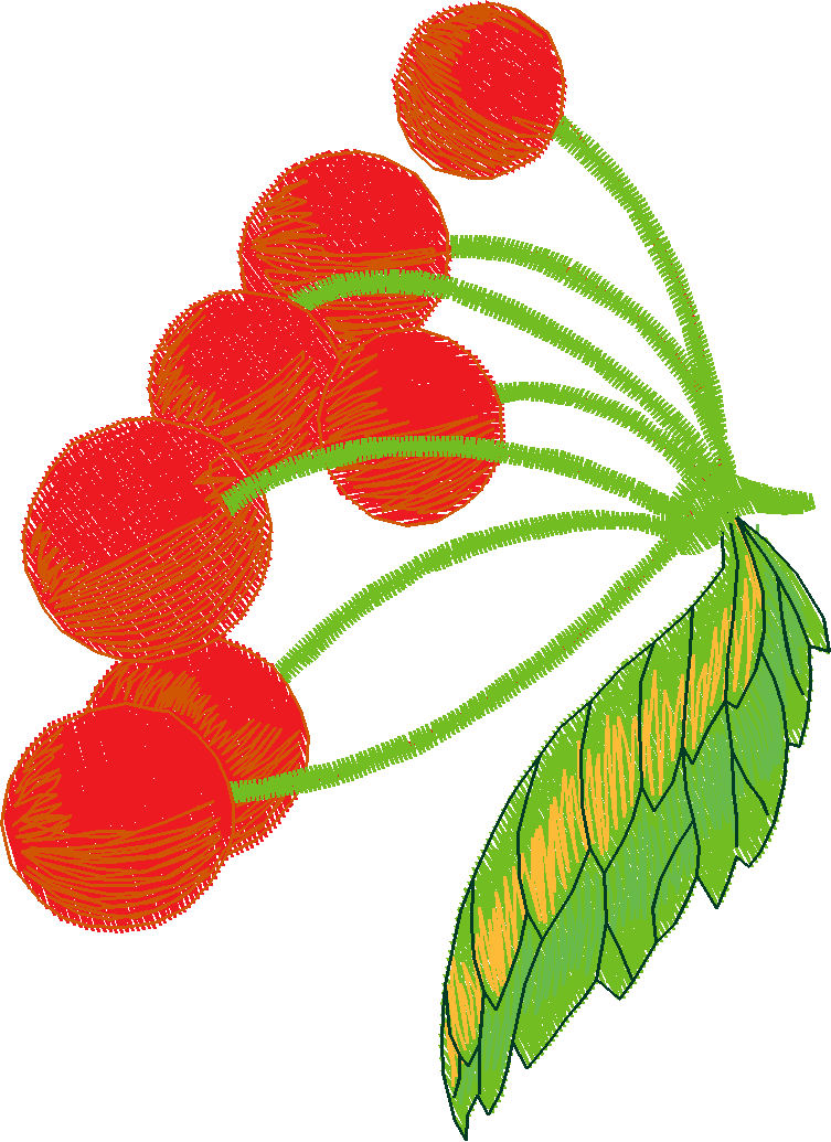Fruit & Vegetables 5  (13)