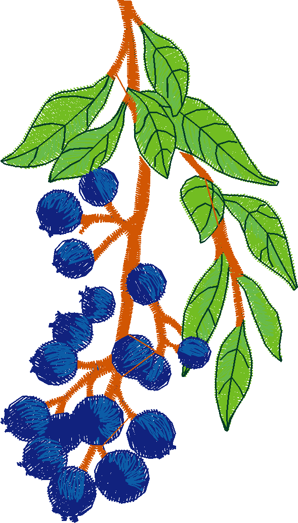 Fruit & Vegetables 5  (14)