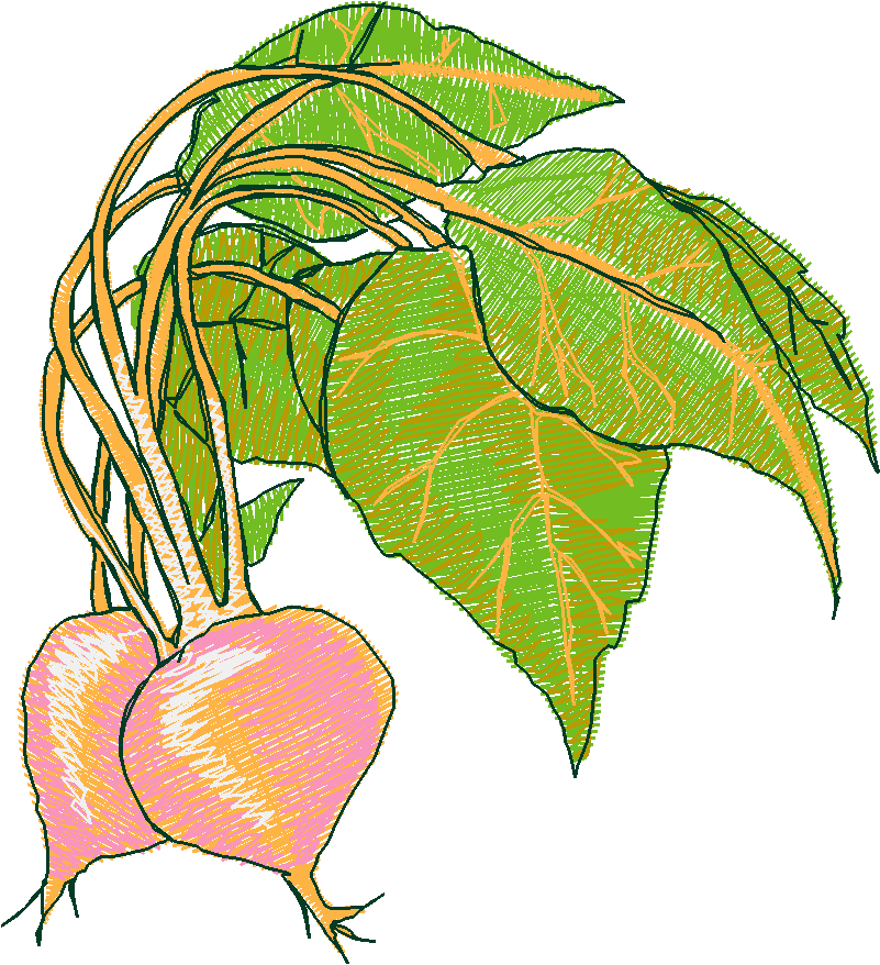 Fruit & Vegetables 6  (18)