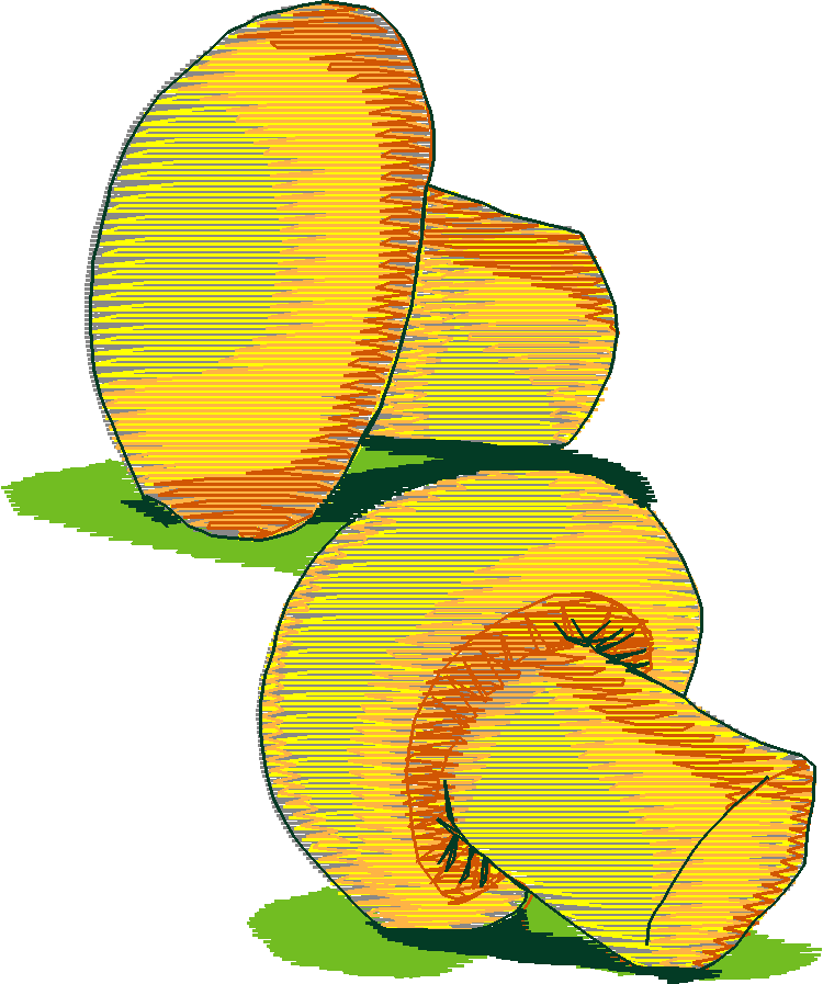 Fruit & Vegetables 6  (19)