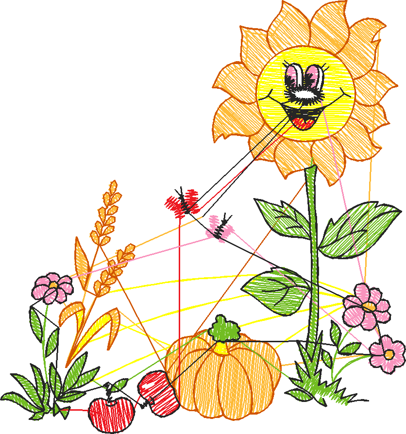 Fruit & Vegetables 8 (17)