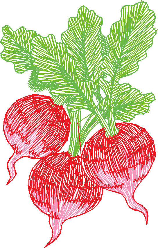 Fruit & Vegetables 8 (3)