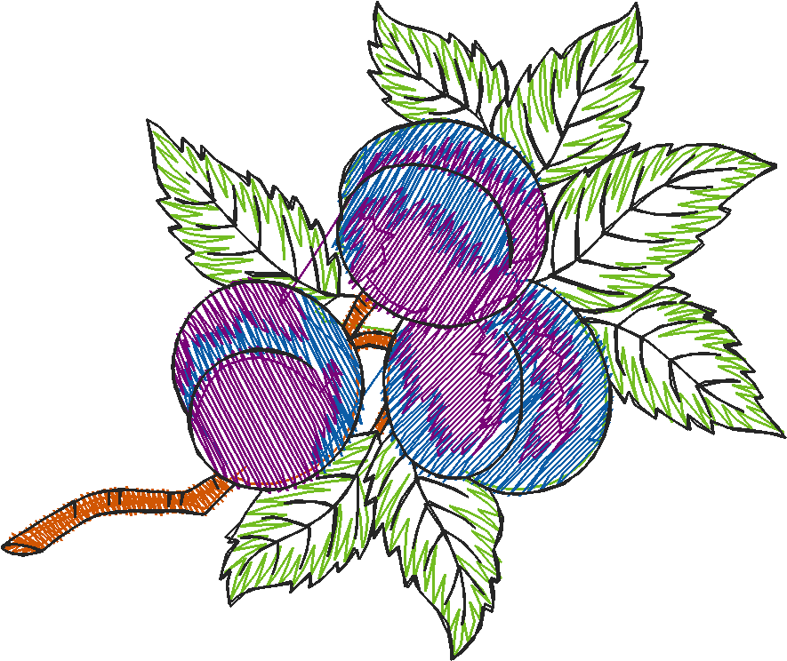 Fruit & Vegetables 8 (8)