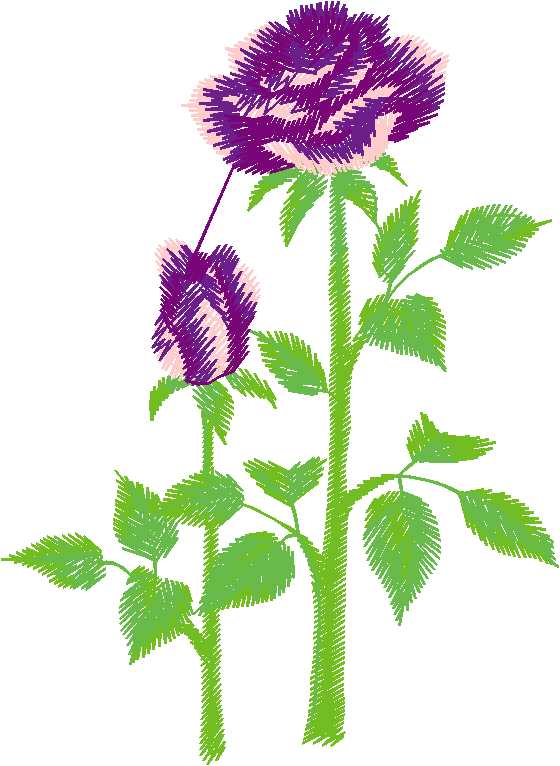 Garden 10  (16)