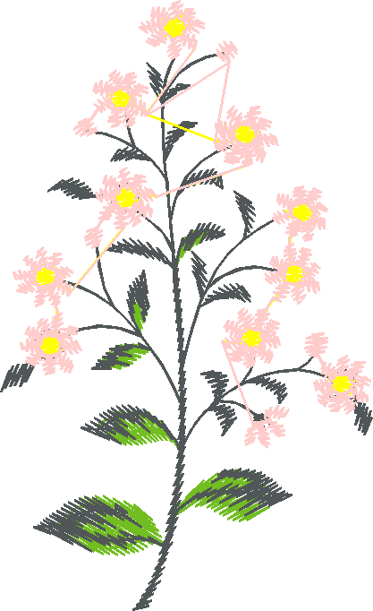 Garden 10  (19)