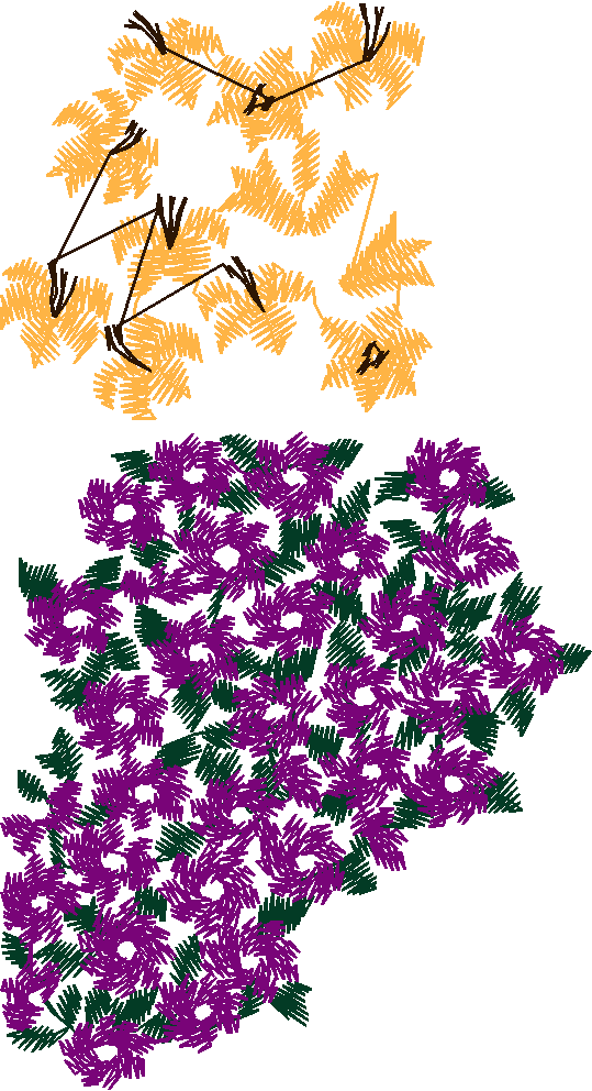 Garden 10  (42)