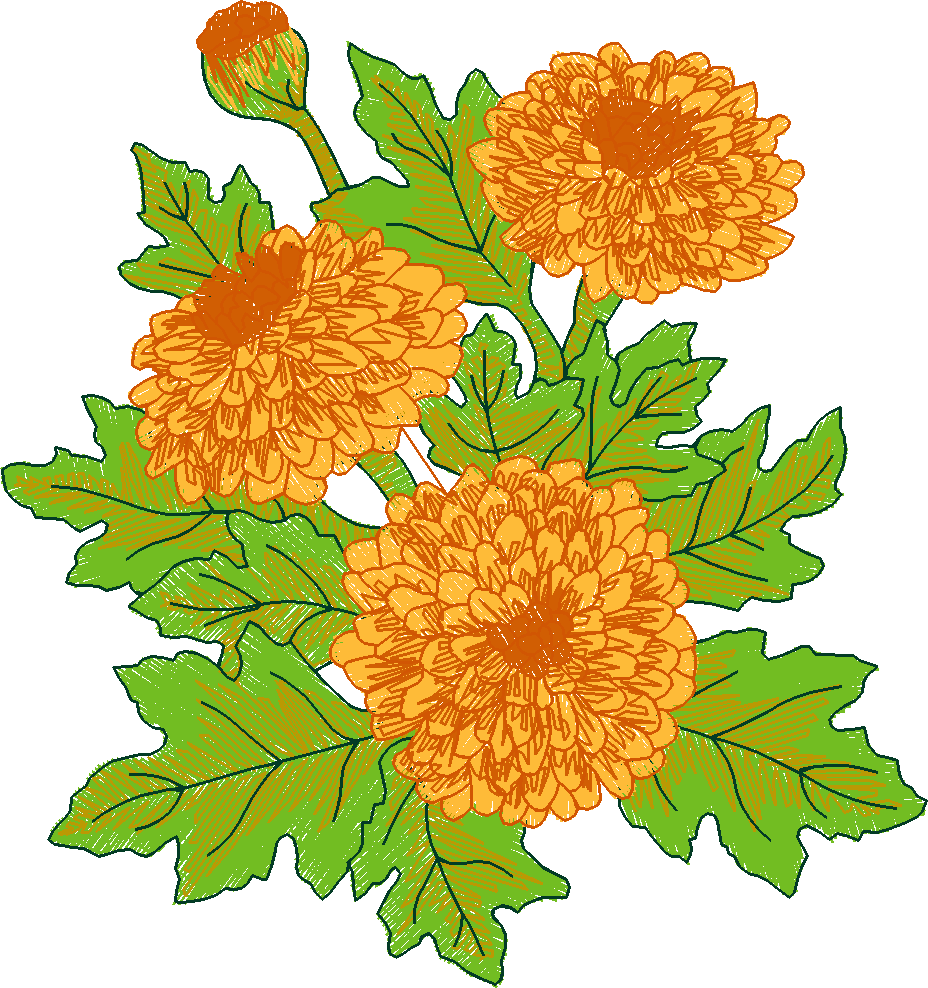 Garden 11  (10)