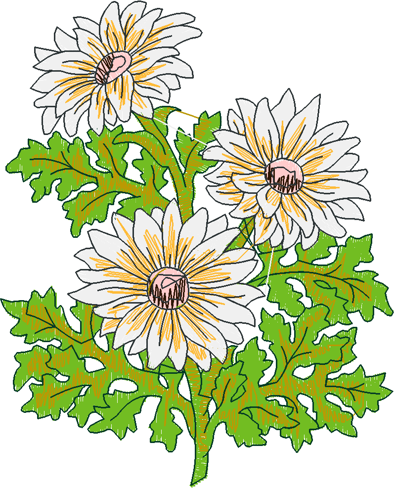 Garden 11  (11)