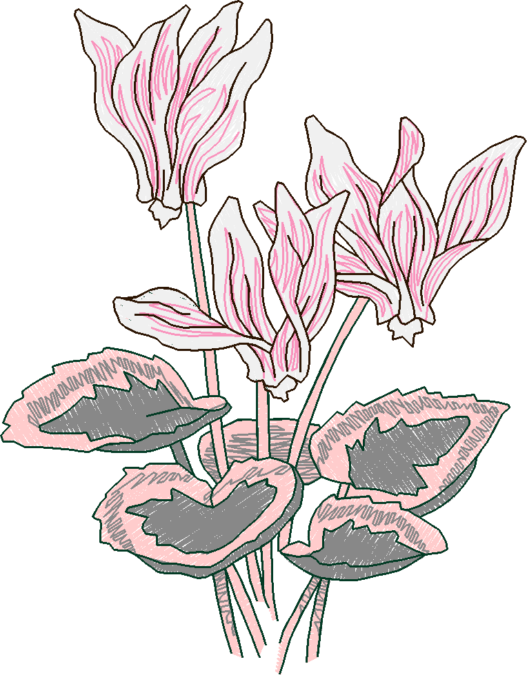 Garden 11  (13)