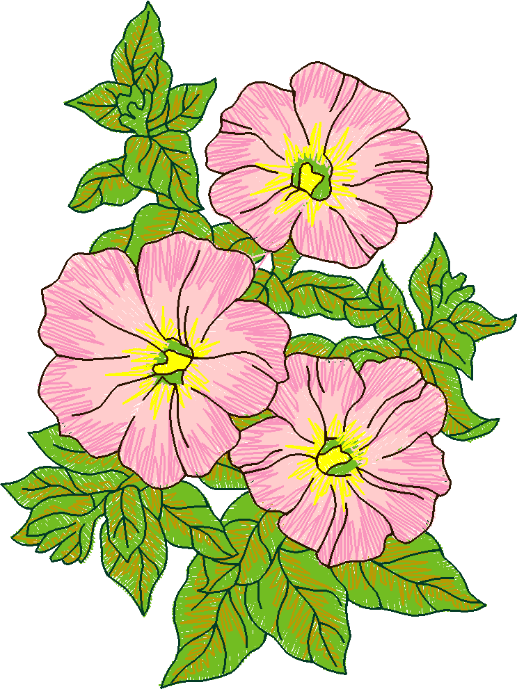 Garden 11  (19)