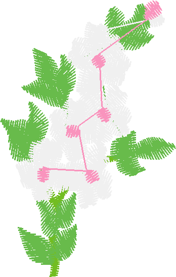 Garden 15  (17)