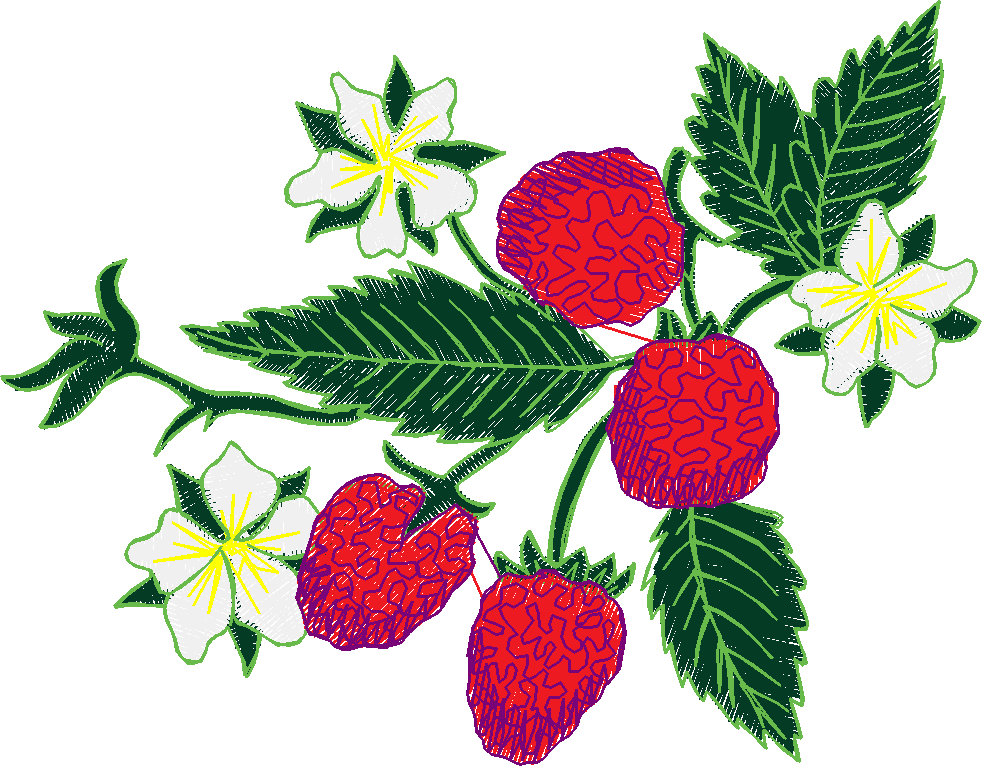 Garden 16  (15)