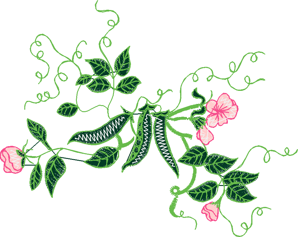 Garden 16  (17)