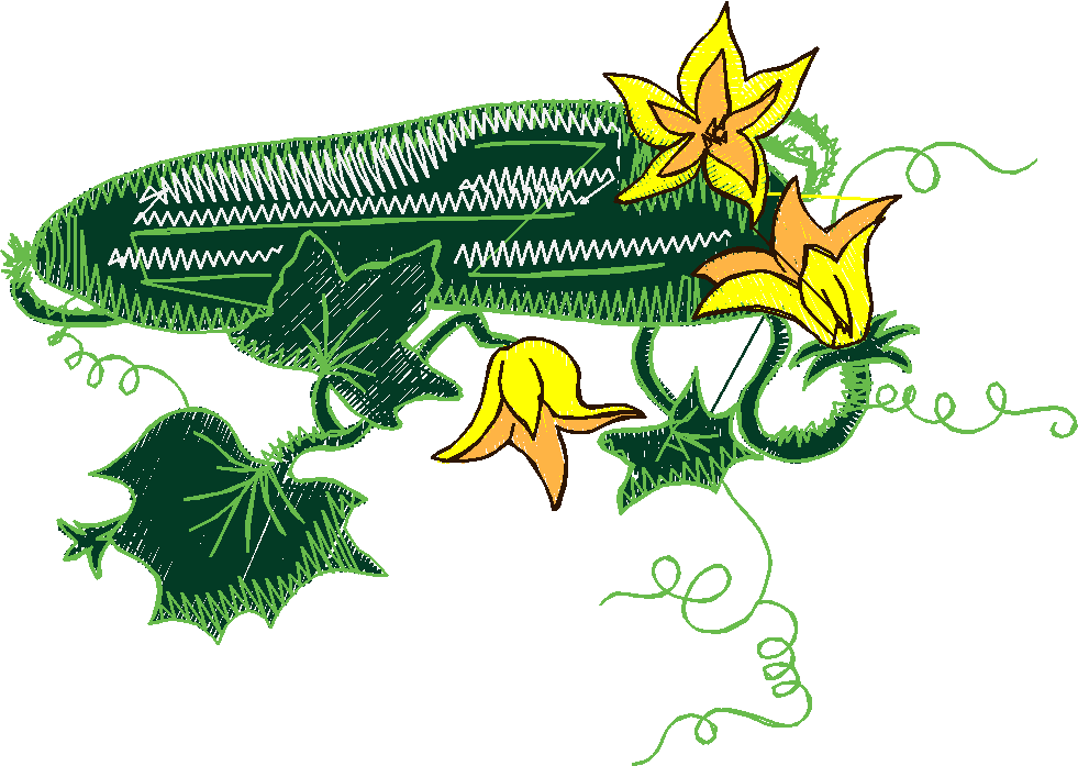 Garden 16  (3)