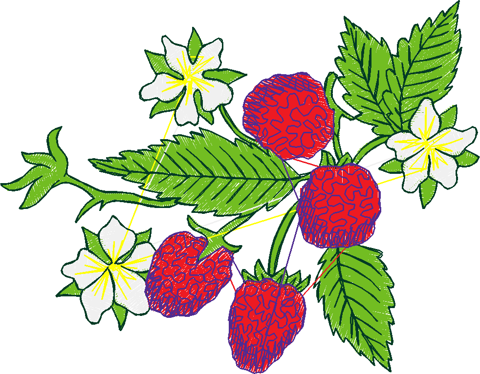 Garden 2  (14)