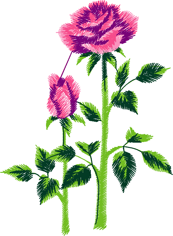 Garden 6  (13)