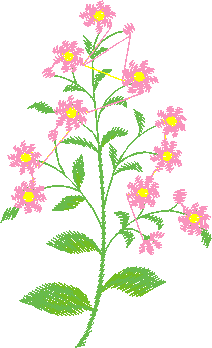 Garden 6  (16)