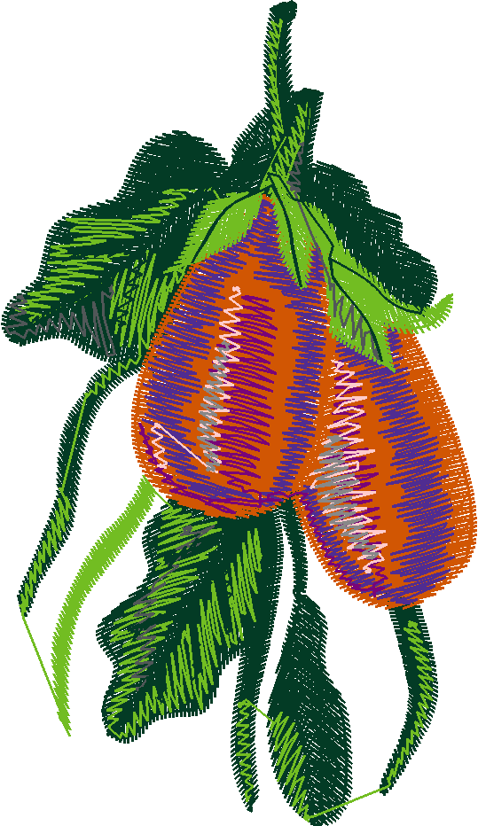 Garden 9  (5)