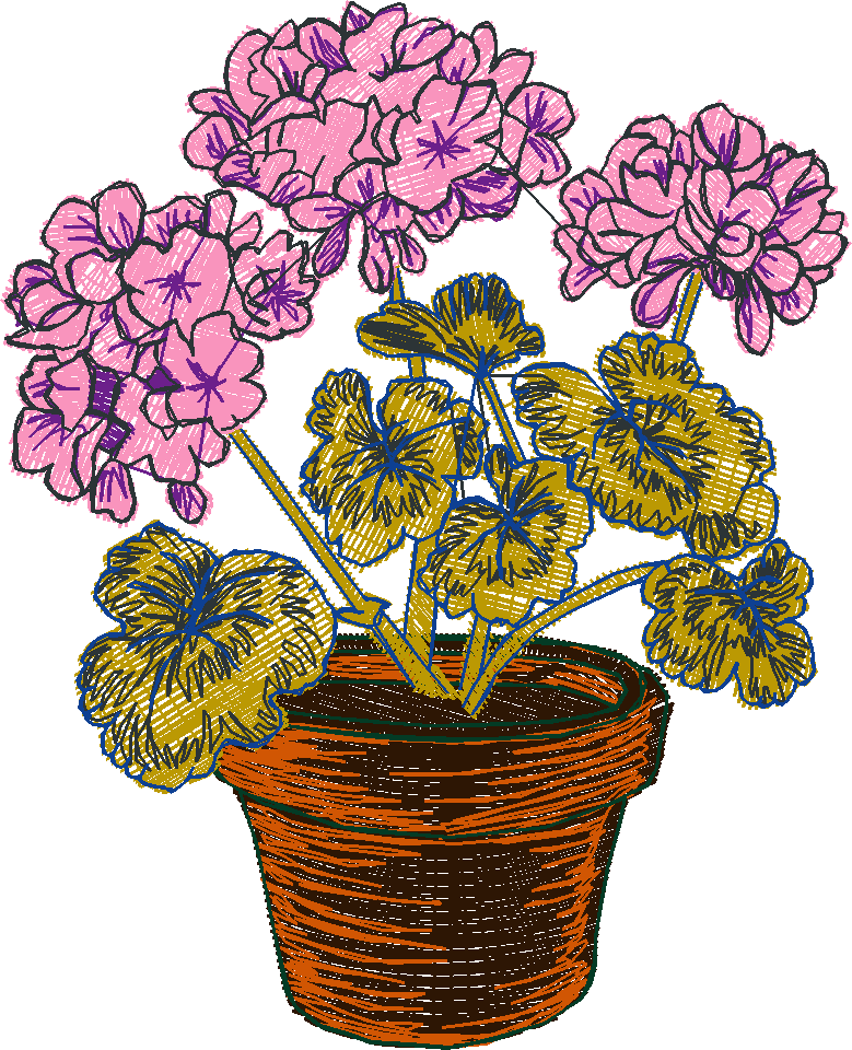 Garden Flowers