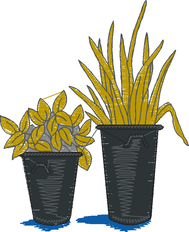 Gardeners Diary