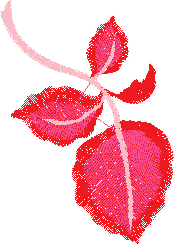 11 Leaf