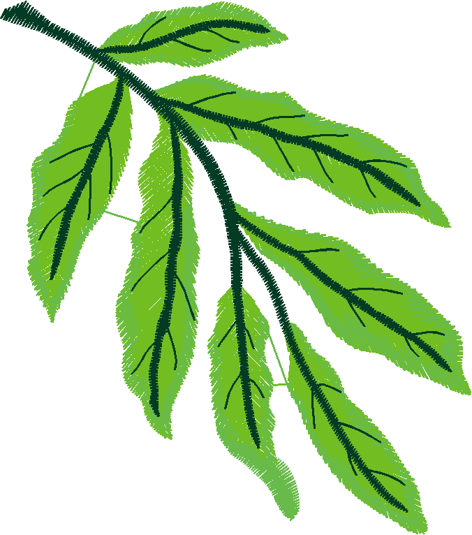 13 Leaf