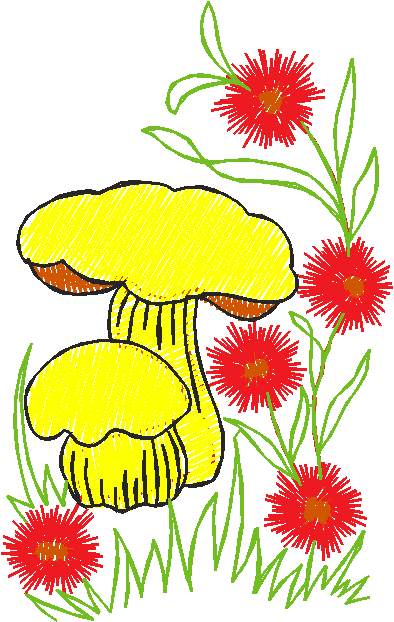 211615