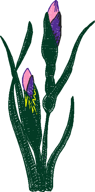 24010