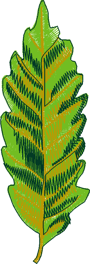 366 Fl