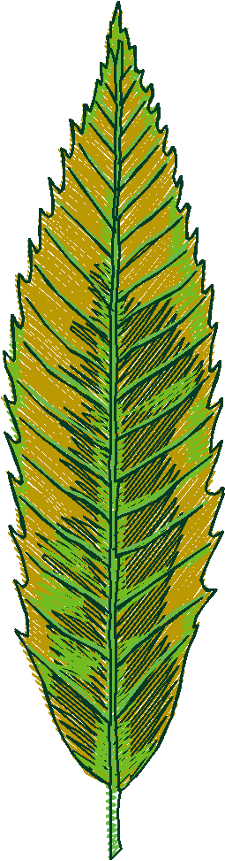 371 Fl