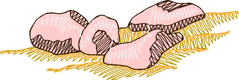98644