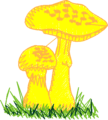 98666