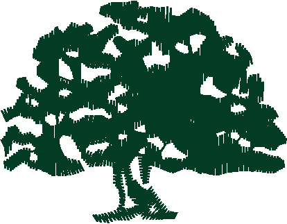 Ad1065 005