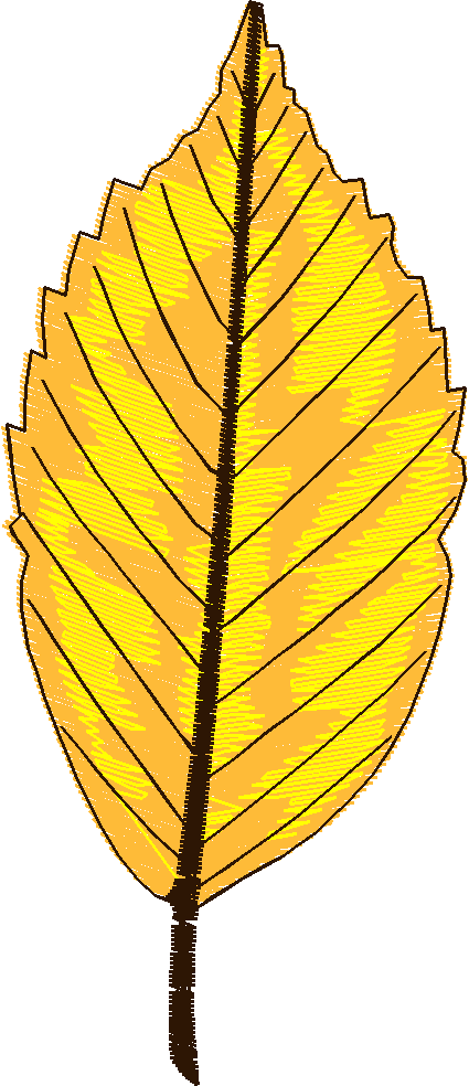 Ad2044 004